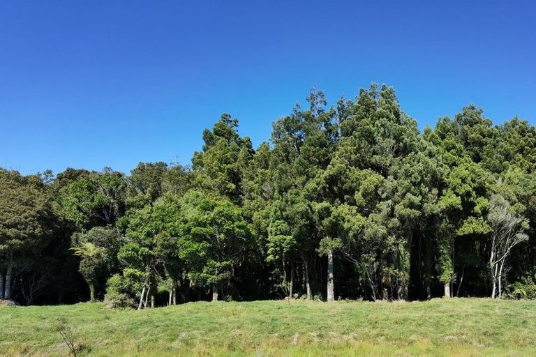 Photo of property in 400a Kumara Junction Highway, Arahura Valley, Hokitika, 7882