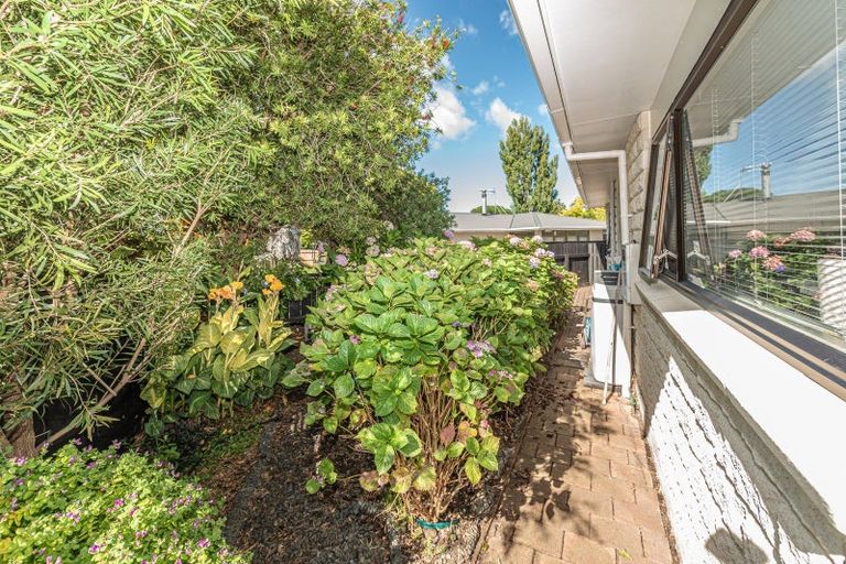 Photo of property in 54 Maxwell Avenue, Durie Hill, Whanganui, 4500