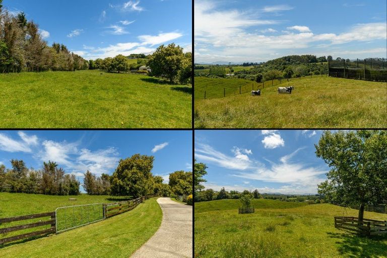 Photo of property in 106e Leyland Road, Whakamarama, Tauranga, 3179