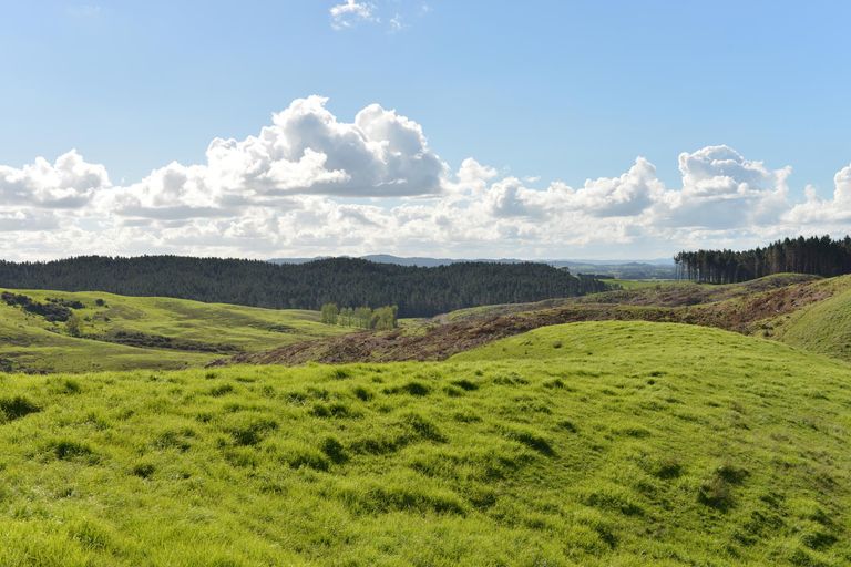 Photo of property in 495 Glenmohr Road, Waipu, 0582