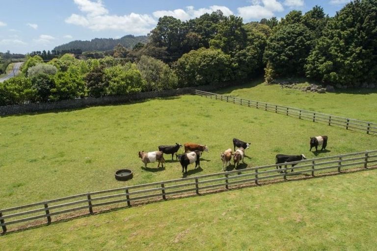 Photo of property in 510 Three Mile Bush Road, Te Kamo, Kamo, 0185