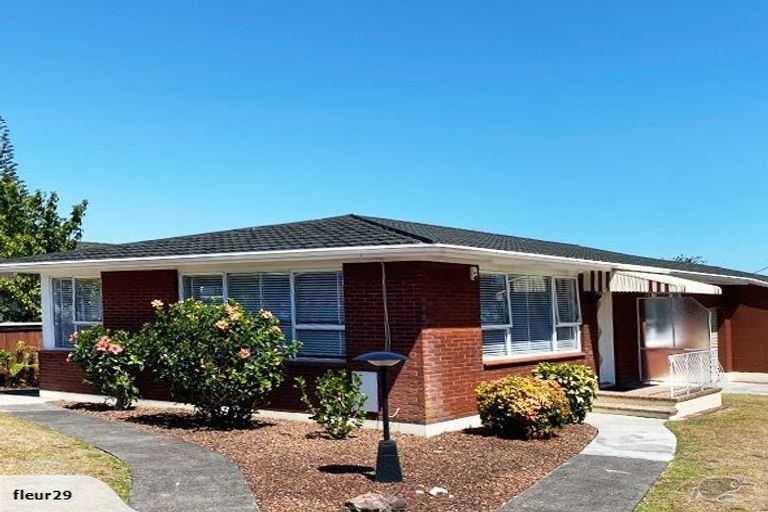 Photo of property in 1/207 Mount Albert Road, Wesley, Auckland, 1025