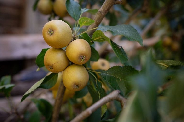 Photo of property in 166 Owen Street, Newtown, Wellington, 6021