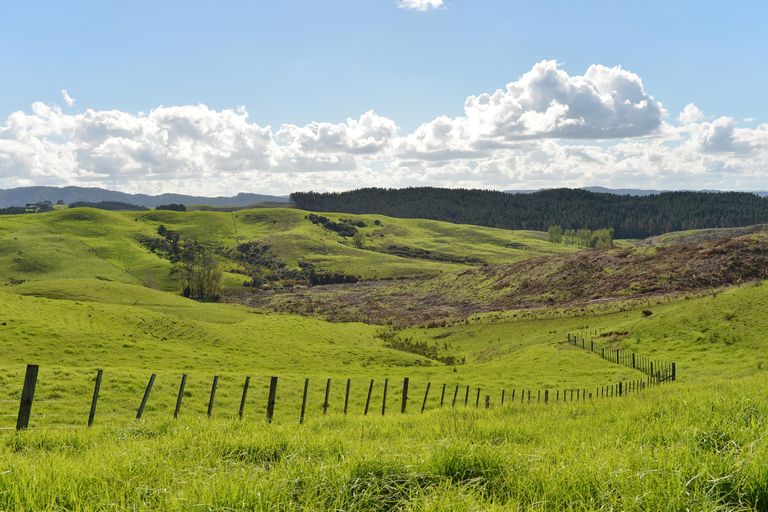 Photo of property in 495 Glenmohr Road, Waipu, 0582