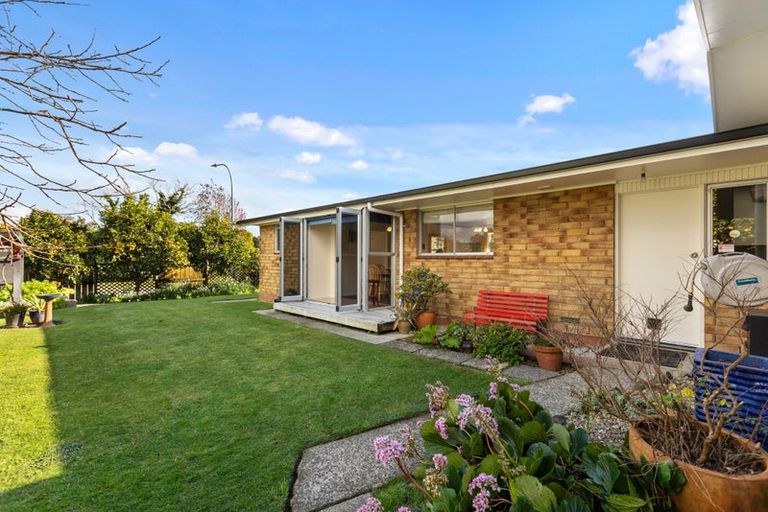 Photo of property in 32 Taipari Street, Maungatapu, Tauranga, 3112