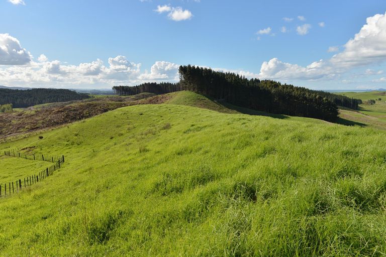 Photo of property in 495 Glenmohr Road, Waipu, 0582