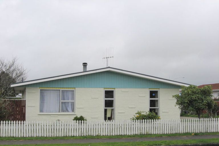 Photo of property in 53 Featherston Street, Levin, 5510