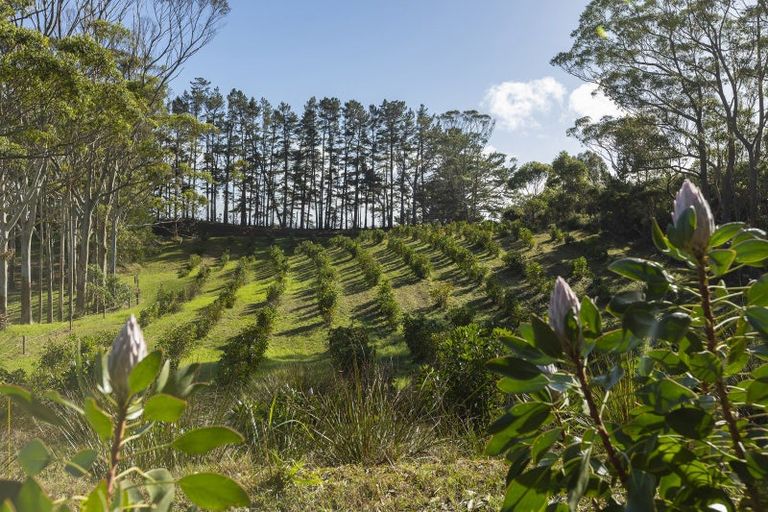 Photo of property in 12 Kaikatia Road, Pukenui, 0484