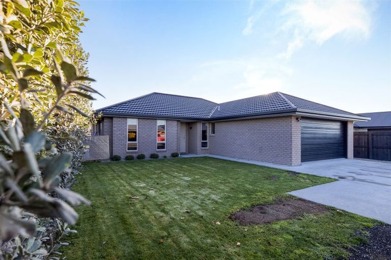 Photo of property in 82 Old Renwick Road, Springlands, Blenheim, 7201