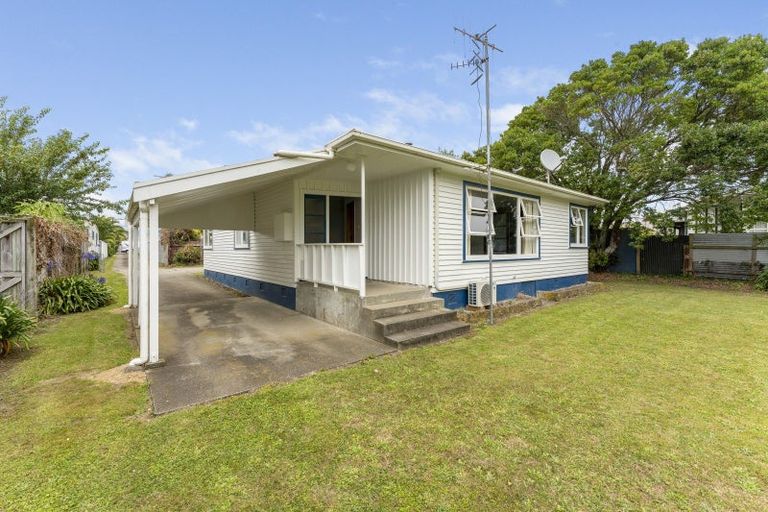 Photo of property in 20 Mckenzie Street, Levin, 5510