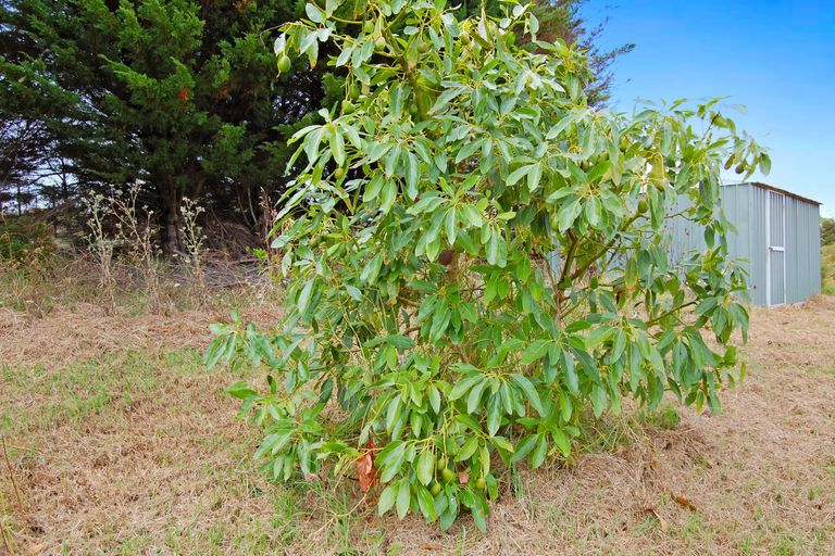 Photo of property in 306 Oneriri Road, Kaiwaka, 0573