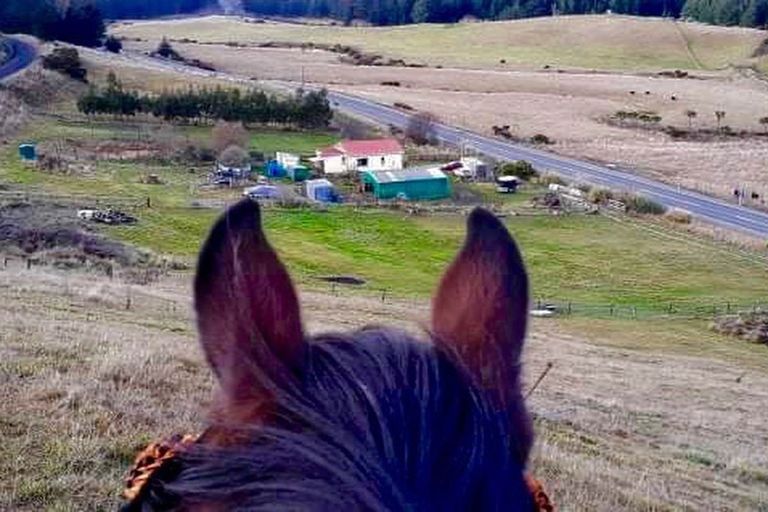 Photo of property in 4942 Hampden-palmerston Road, Bushey, Palmerston, 9482