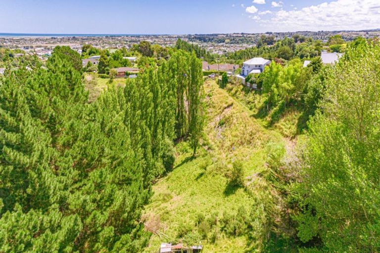 Photo of property in 50 Shakespeare Road, Bastia Hill, Whanganui, 4500