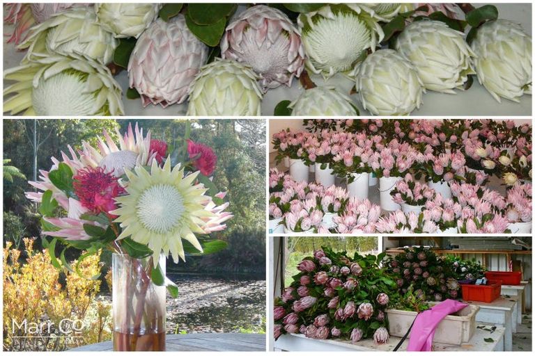 Photo of property in 12 Kaikatia Road, Pukenui, 0484