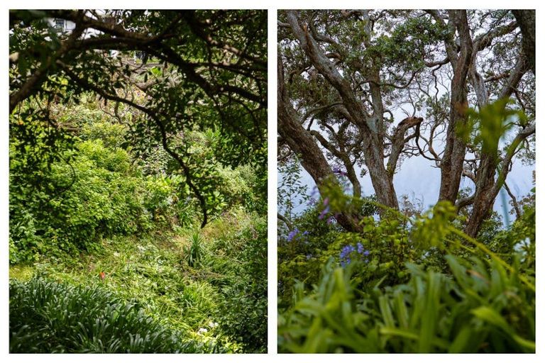 Photo of property in 37 Pohutukawa Drive, Athenree, Katikati, 3177