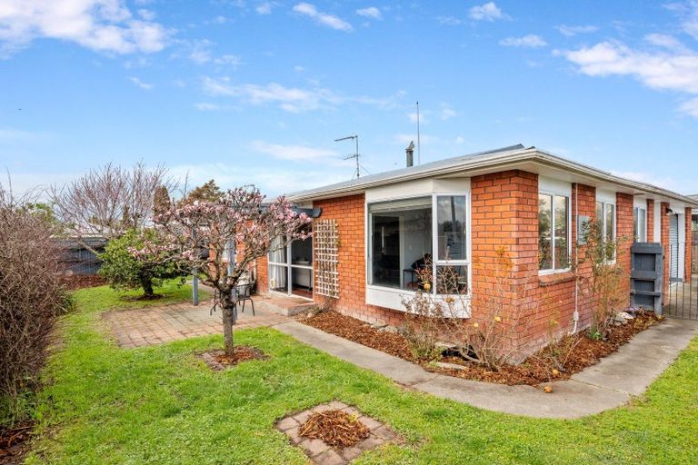 Photo of property in 29 Arthur Baker Place, Redwoodtown, Blenheim, 7201