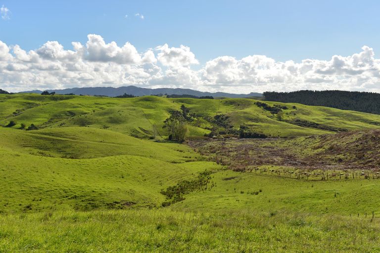 Photo of property in 495 Glenmohr Road, Waipu, 0582