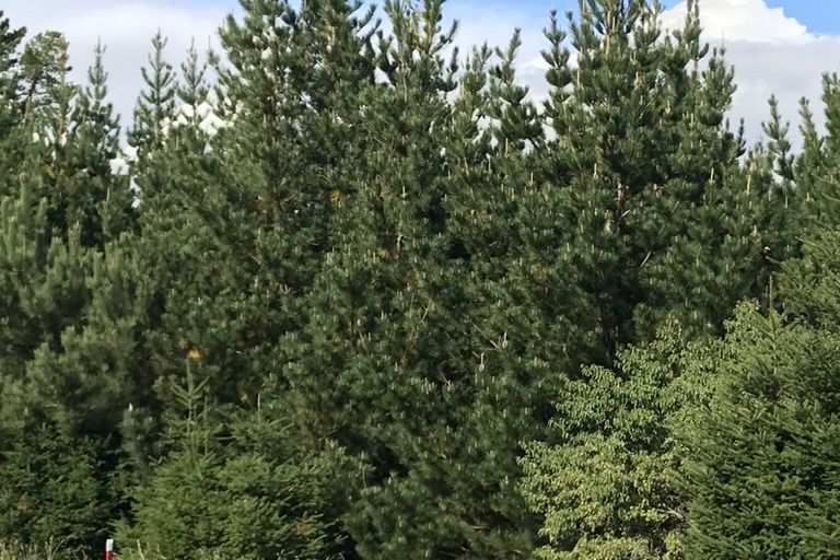 Photo of property in 487 Whangamata Road, Kinloch, Taupo, 3377