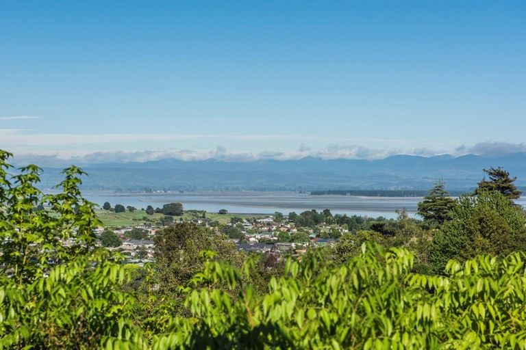 Photo of property in 88 Tosswill Road, Tahunanui, Nelson, 7011