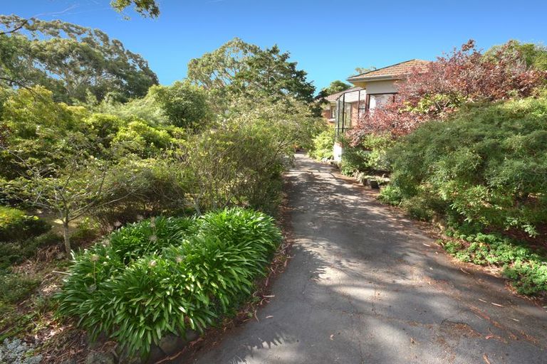Photo of property in 47 Every Street, Andersons Bay, Dunedin, 9013
