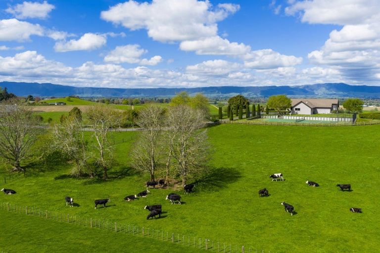 Photo of property in 563b Matai Road, Matamata, 3472