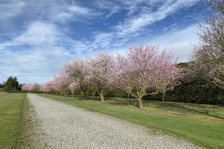 Photo of property in 805 Downs Road, Eyrewell, Rangiora, 7476