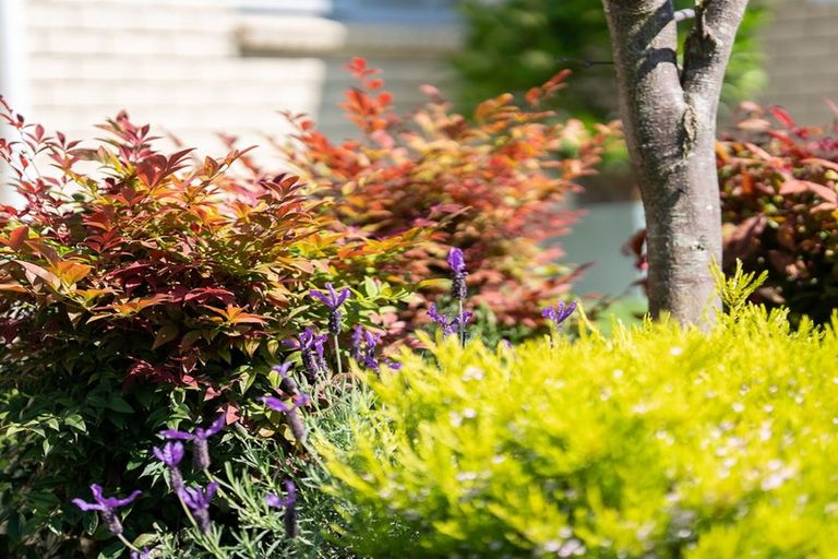 Photo of property in Trackside Villas, 22/91 Mako Mako Road, Levin, 5510