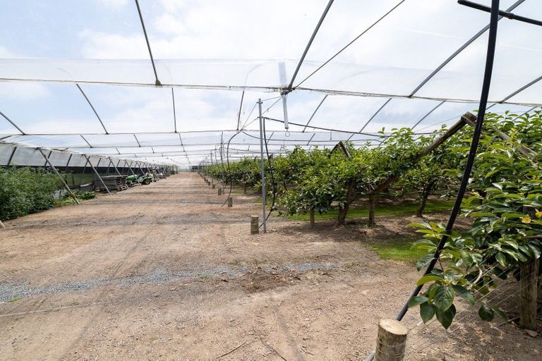 Photo of property in 225 Hoeka Road, Matangi, Hamilton, 3284