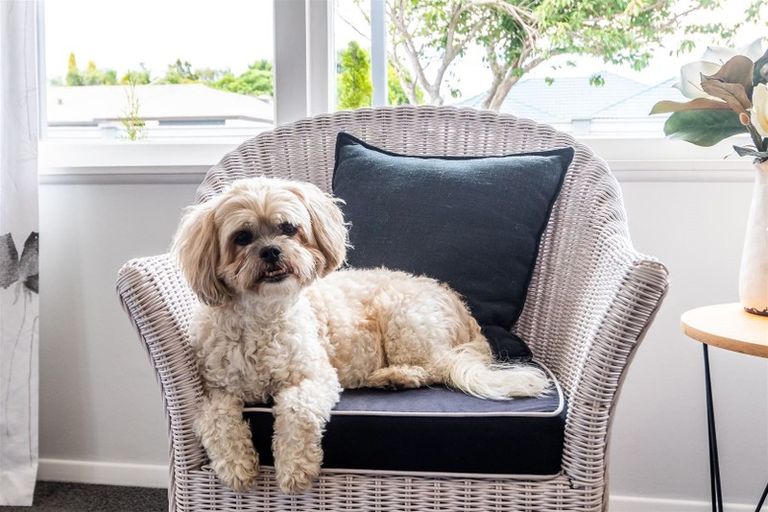 Photo of property in 152 Auckland Road, Greenmeadows, Napier, 4112