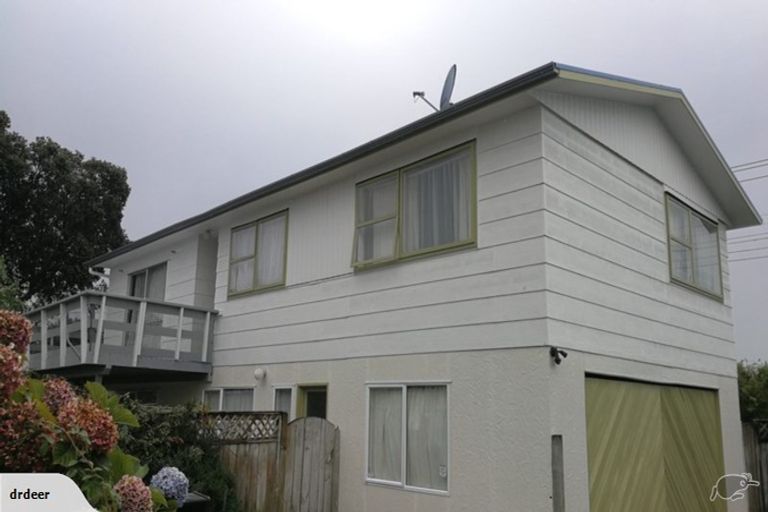 Photo of property in 67 Astley Avenue, New Lynn, Auckland, 0600