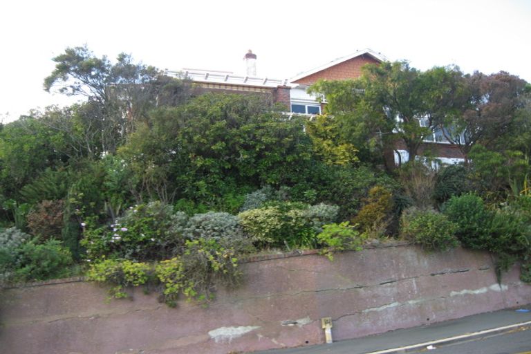 Photo of property in 41 Tomahawk Road, Andersons Bay, Dunedin, 9013