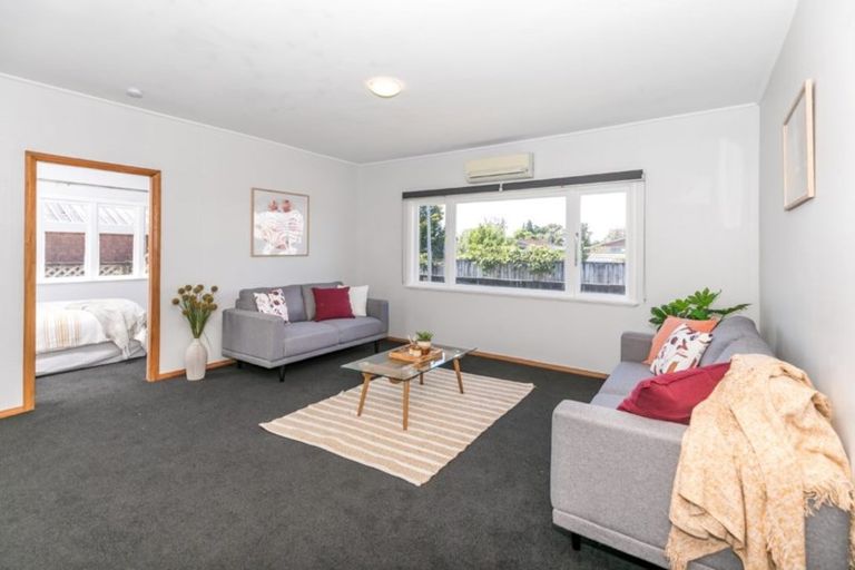 Photo of property in 167 Clarkin Road, Fairfield, Hamilton, 3214