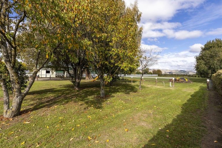 Photo of property in 25 David Street, Yelverton, Blenheim, 7201