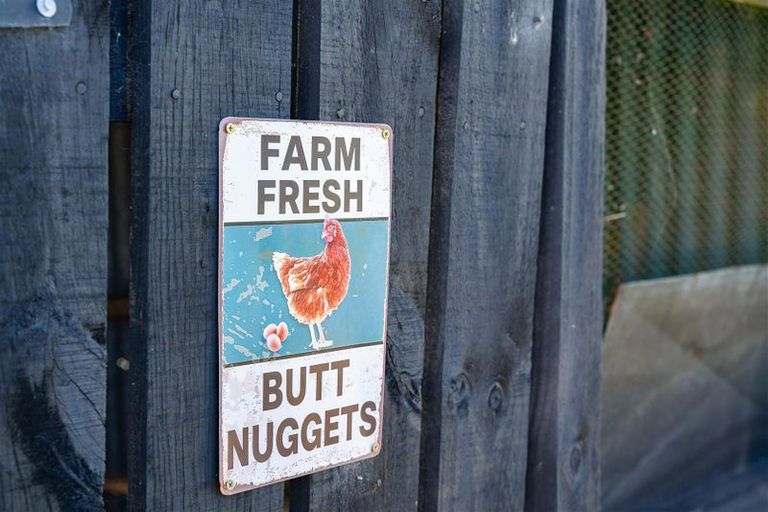 Photo of property in 103 Partridge Road, Wellsford, 0973