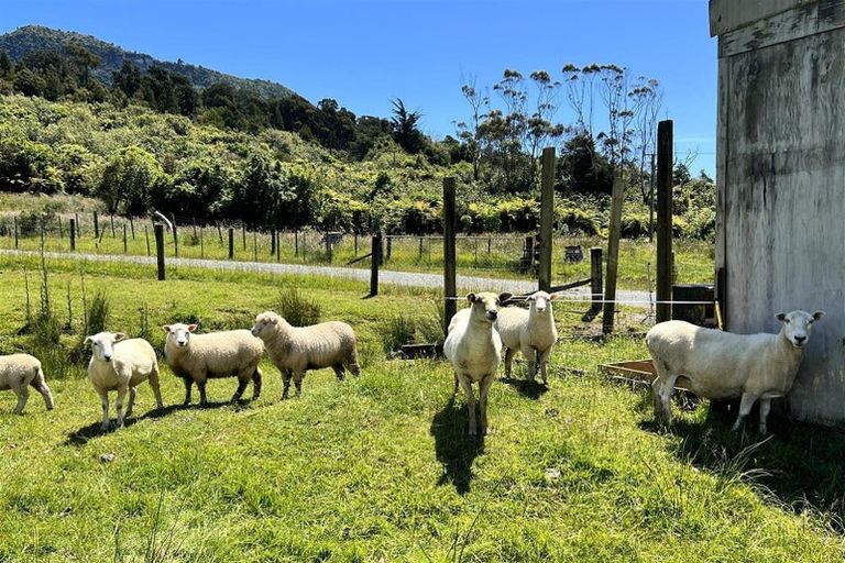 Photo of property in 869c Seven Mile Road, Rapahoe, Greymouth, 7803