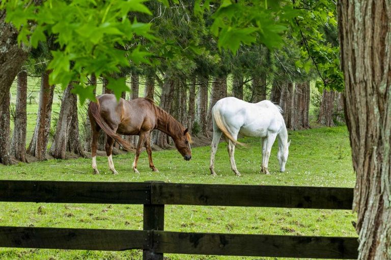Photo of property in 43 Thompson Road, Kaitaia, 0482
