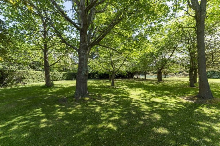 Photo of property in 30 William Coup Road, Kaiapoi, 7691