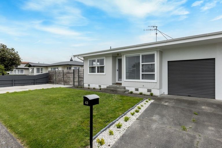 Photo of property in 43 Clark Avenue, Pirimai, Napier, 4112