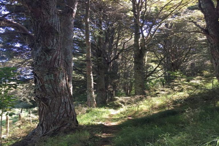 Photo of property in 538d Whangaripo Valley Road, Whangaripo, Wellsford, 0972