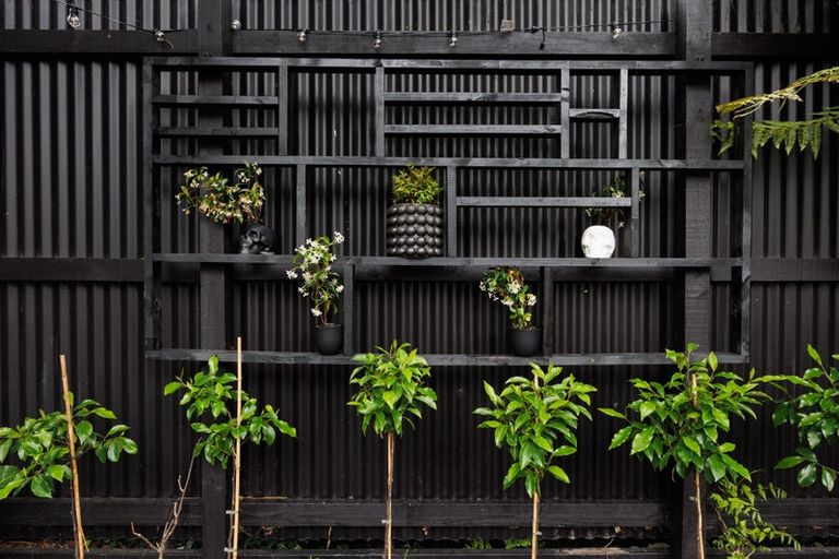 Photo of property in 41 Manuka Street, Hokowhitu, Palmerston North, 4410