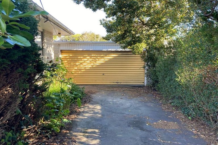 Photo of property in 46b Copeland Street, Hutt Central, Lower Hutt, 5011