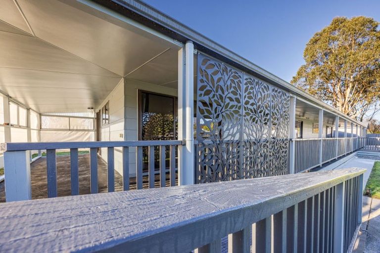 Photo of property in 20 Shanly Street, Waipawa, 4210