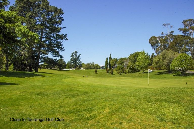 Photo of property in 51a Hynds Road, Gate Pa, Tauranga, 3112