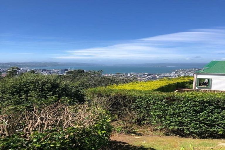 Photo of property in 45 Apuka Street, Brooklyn, Wellington, 6021