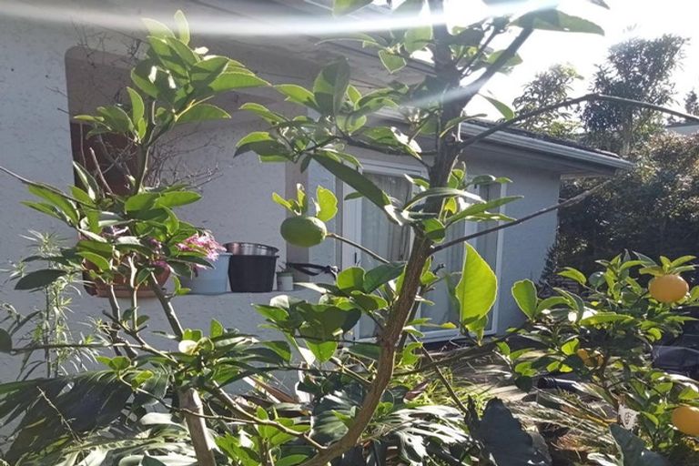 Photo of property in 40 Judea Road, Judea, Tauranga, 3110