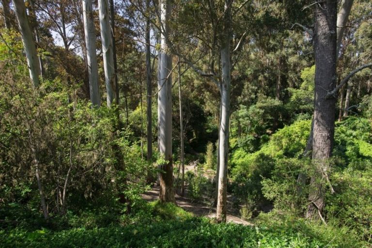 Photo of property in 18 Diana Avenue, Mangapapa, Gisborne, 4010