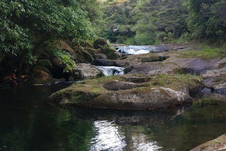 Photo of property in 210 Wainui Road South, Whakamarama, Katikati, 3181