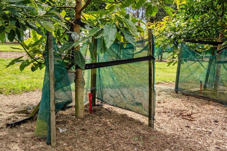 Photo of property in 484a Wright Road, Aongatete, Katikati, 3181