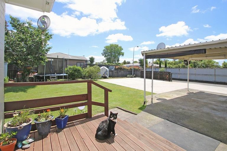 Photo of property in 34b Dalgliesh Avenue, Forest Lake, Hamilton, 3200