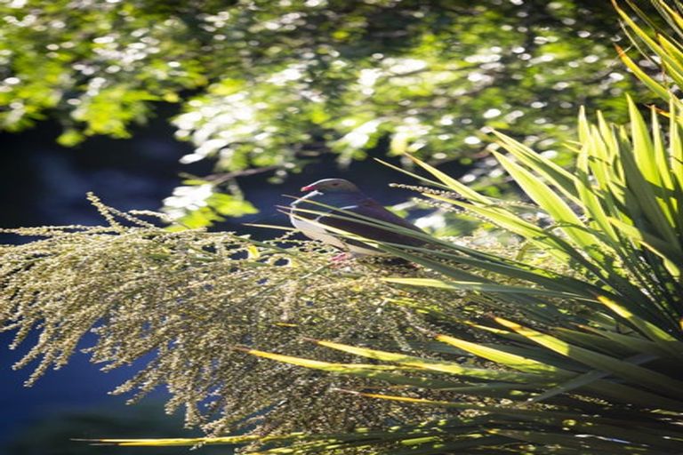 Photo of property in 28 Valley Road, Cashmere, Christchurch, 8022